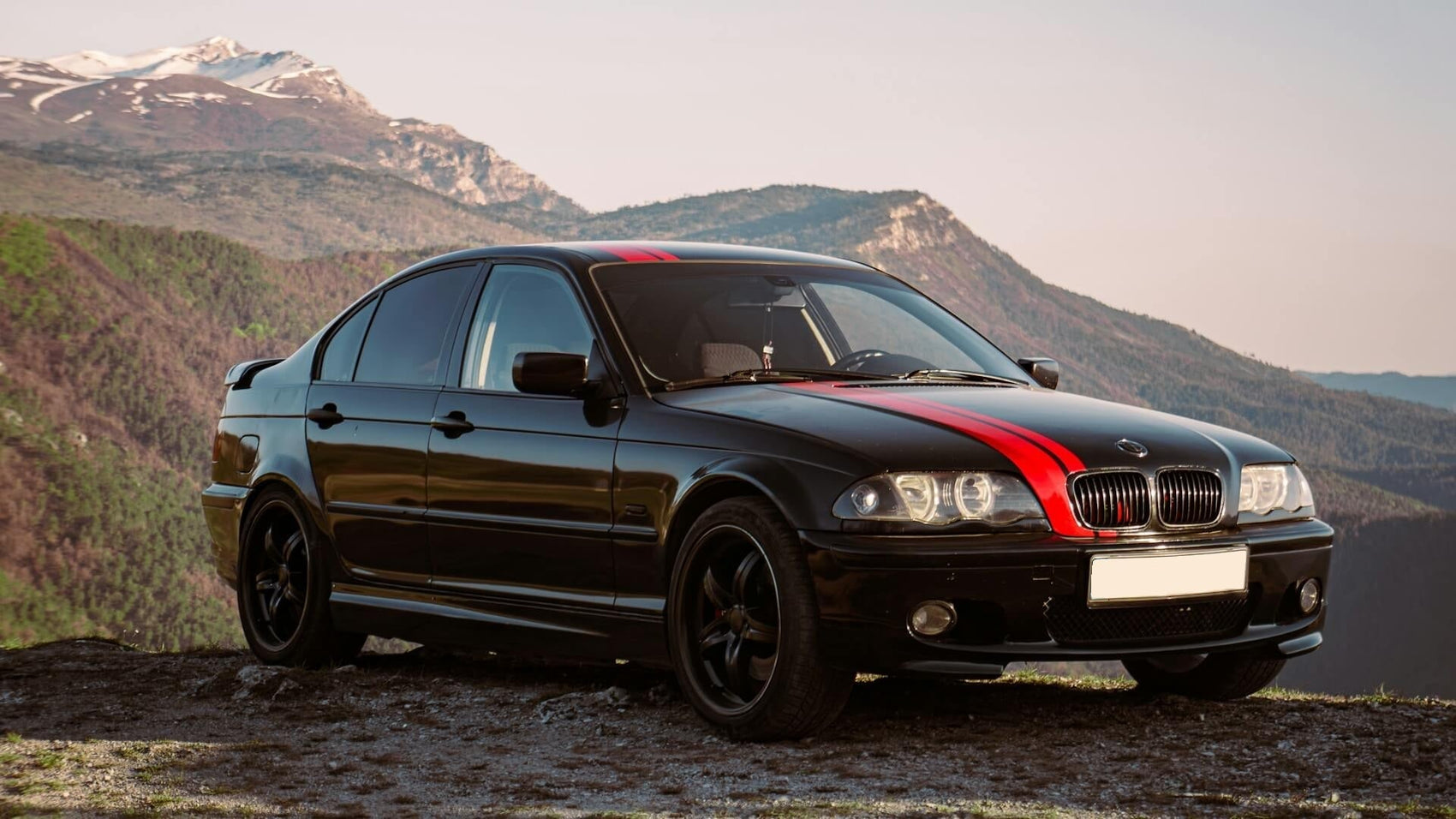 BMW Rear Trailing Arm Bushings: Symptoms & Upgrades